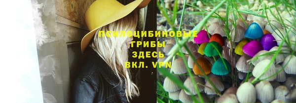 кристаллы Дмитров