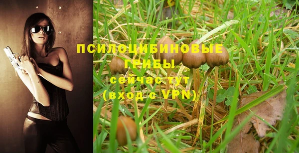 ALPHA-PVP Ельня