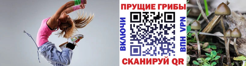 Псилоцибиновые грибы прущие грибы Лиски
