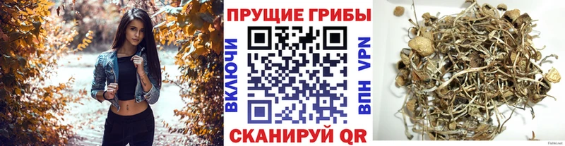 Купить закладки  Лиски  Псилоцибиновые грибы Magic Shrooms 